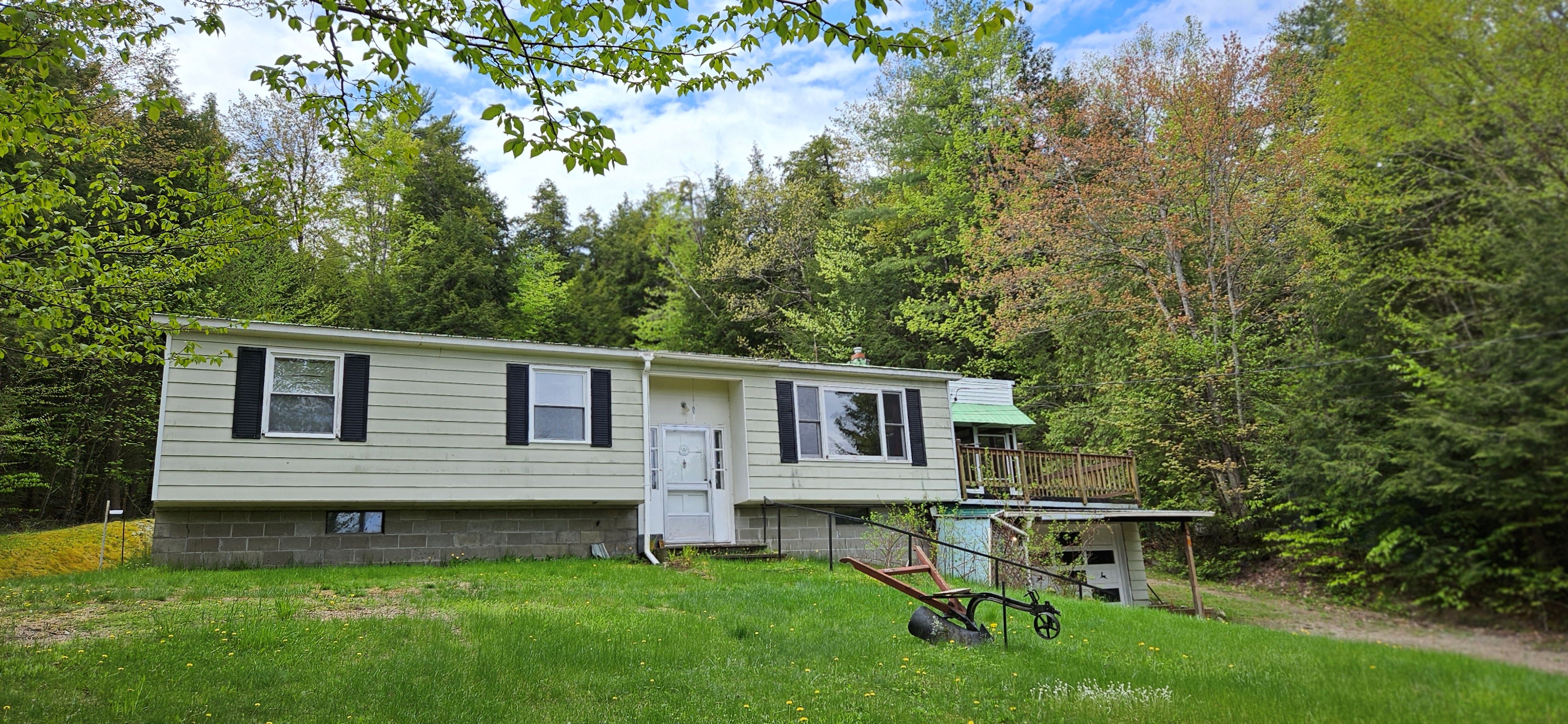 151 Olmsville Road, Pottersville NY